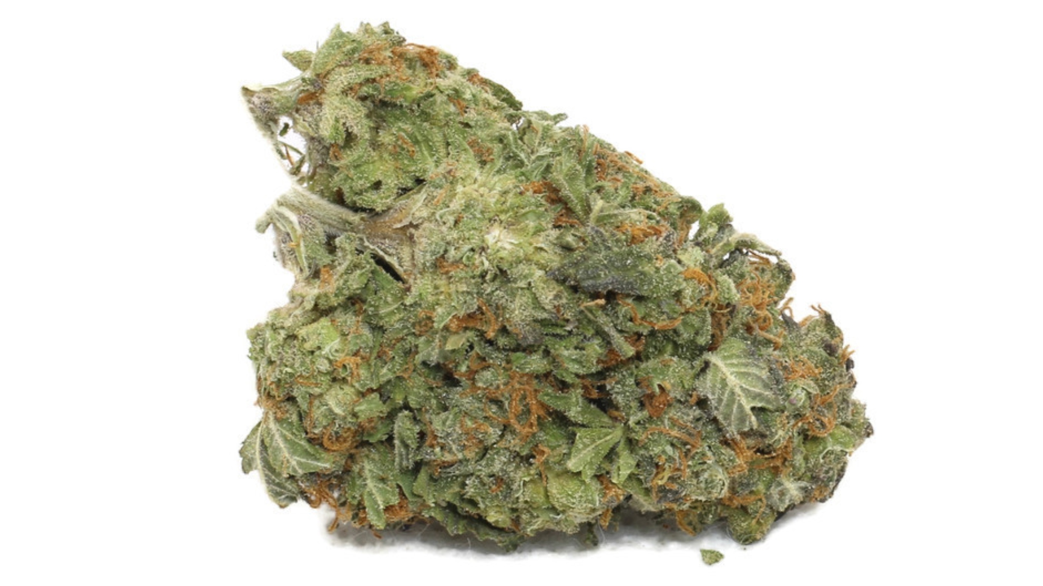 wake the dragon strain wake the dragon strain